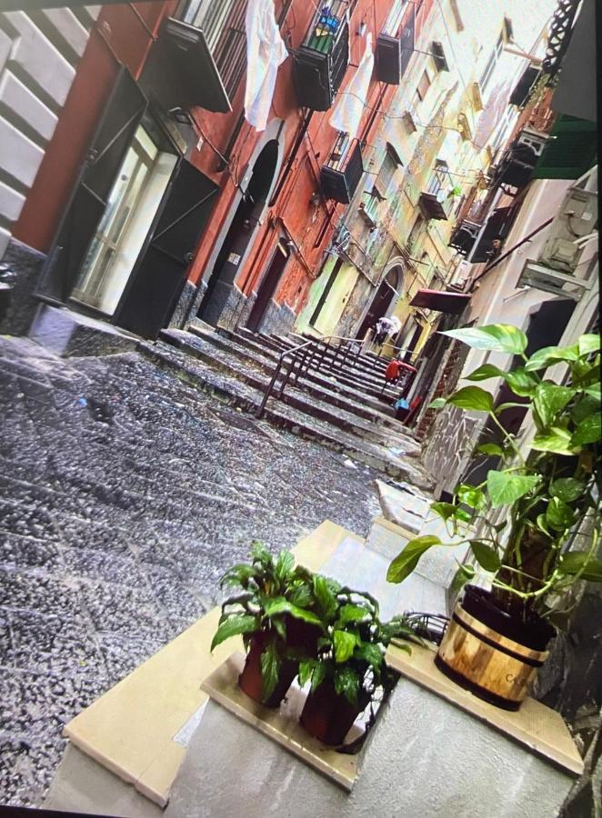 Casa Mari' Centro Storico Vicino Caracciolo Napoli