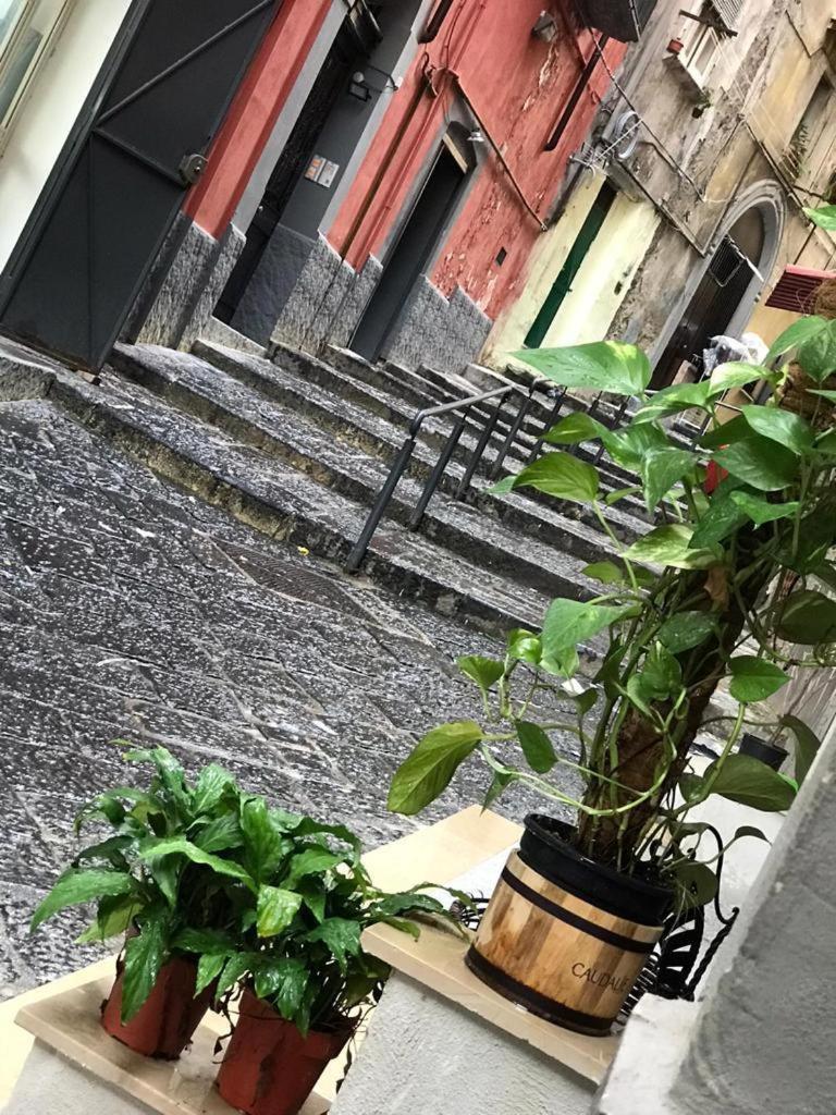 Casa Mari' Centro Storico Vicino Caracciolo * Napoli